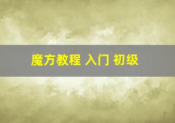 魔方教程 入门 初级